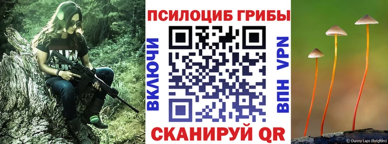 Галлюциногенные грибы ЛСД  Гусиноозёрск 