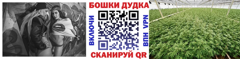 Бошки Шишки марихуана  МЕГА как зайти  Гусиноозёрск  цены  